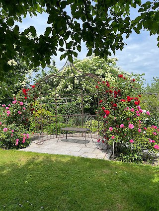 Ein ganz besonderer Tag